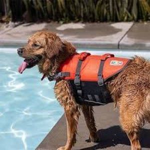 NEW  Dog Life Jacket - OUTWARD HOUND "Granby" Splash Life Jacket